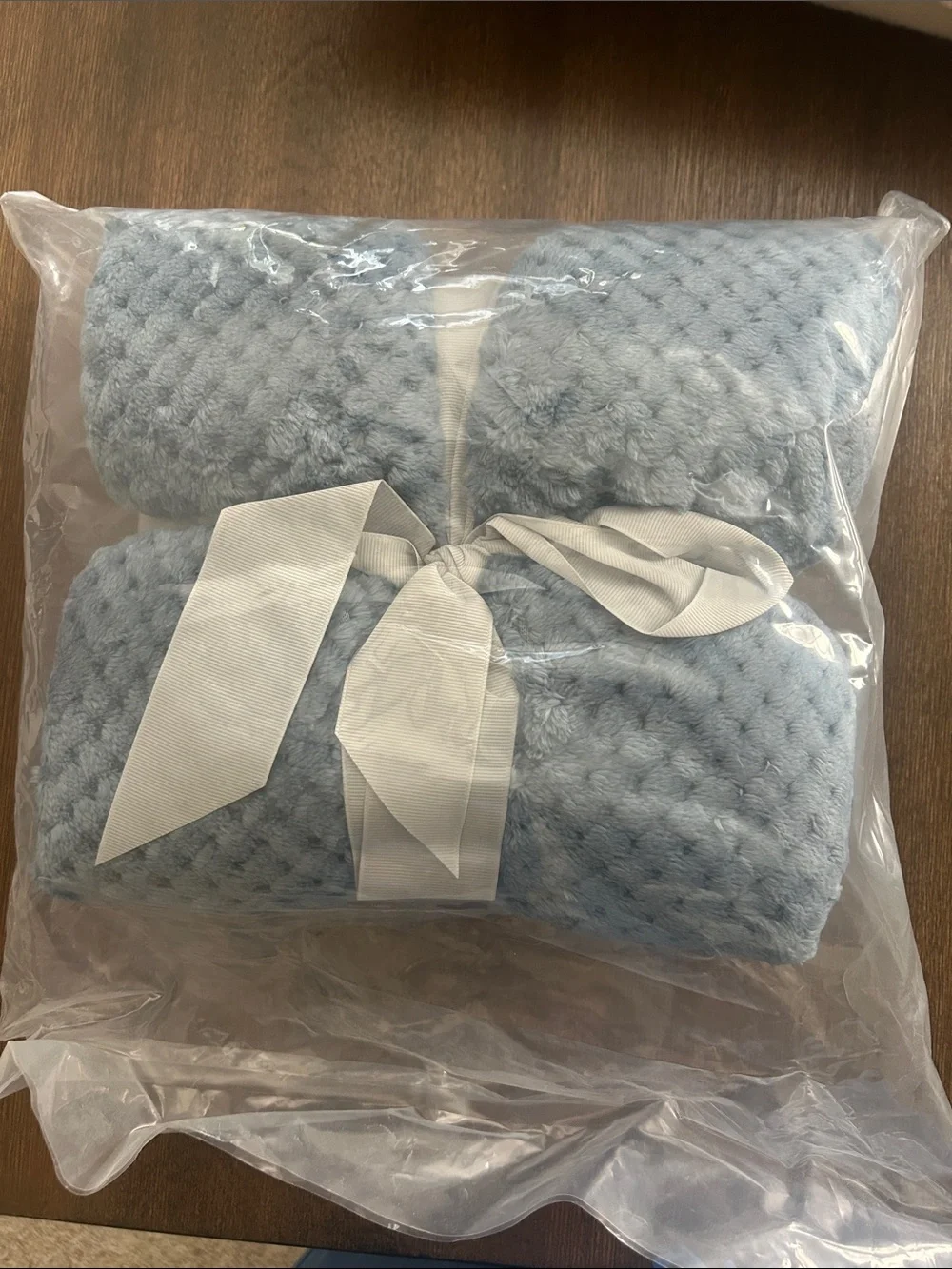 Plush Throw Blanket - Light Blue (small)